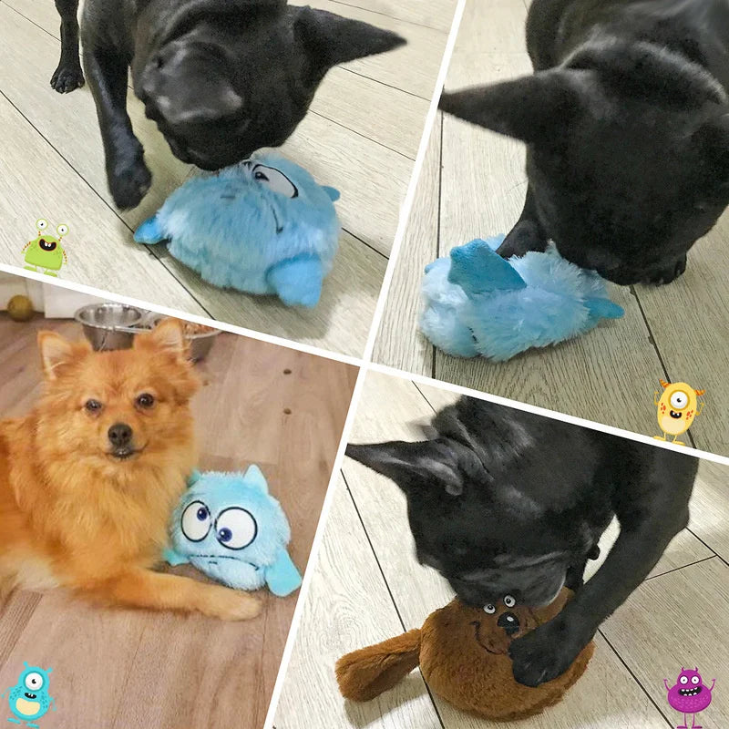 Interactive pet toy